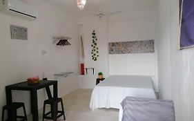 casa las palmas